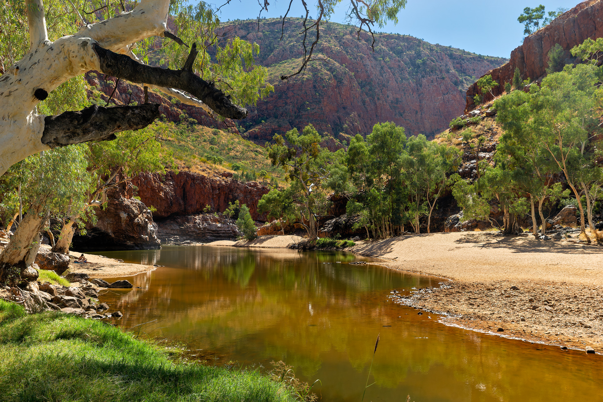 Orniston Gorge - Friedenstäubchen